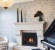 Modern Fireplace Screens Best Of 7 Essential Gas Fireplace Safety Tips