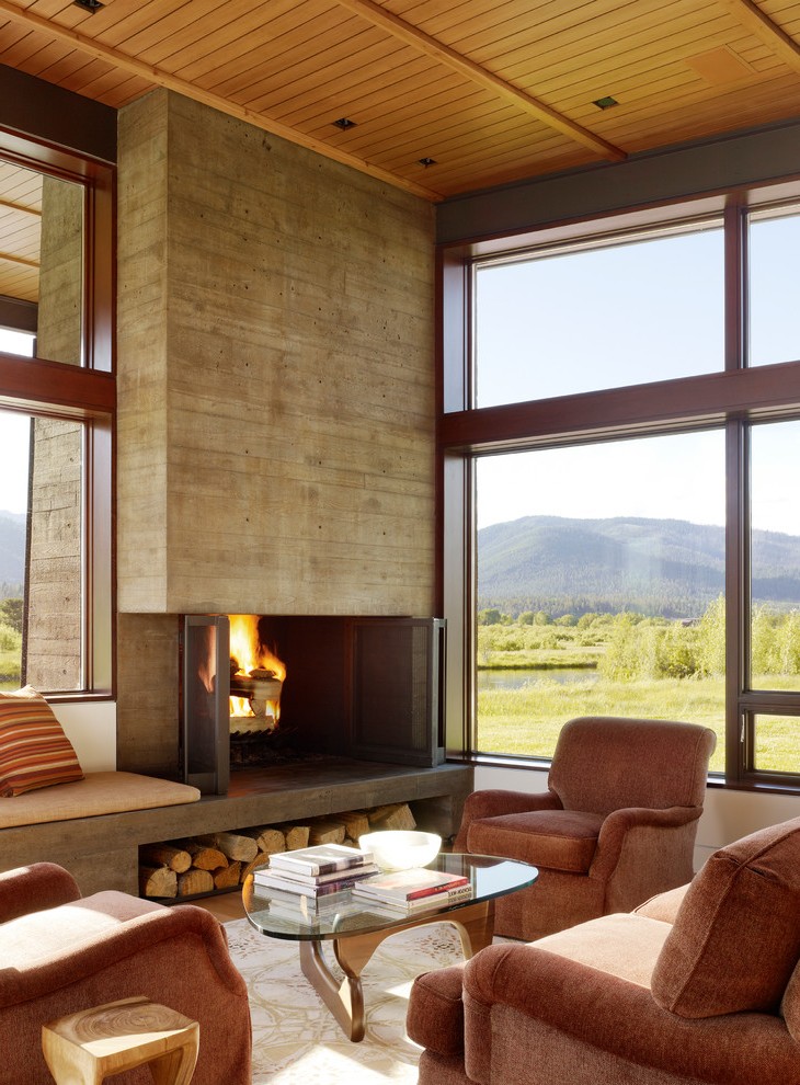 Modern Fireplace Screens Best Of Custom Fireplace Screens Living Room Modern with Fireplaces