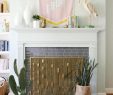 Modern Fireplace Screens Best Of Modern Fireplace Screen Roundup Lay Baby Lay