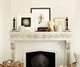 Modern Fireplace Screens Fresh 20 Fireplace Decorating Ideas Best Fireplace Design