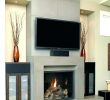 Modern Fireplace Screens New Gas Fireplace Ideas – Mobsea