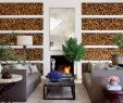 Modern Fireplace Screens Unique Fireplace Ideas and Fireplace Designs