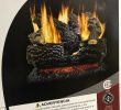 Rasmussen Fireplace Awesome Pleasant Hearth 18 In Btu Dual Burner Vented Natural Gas Fireplace Logs
