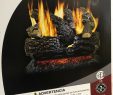 Rasmussen Fireplace Awesome Pleasant Hearth 18 In Btu Dual Burner Vented Natural Gas Fireplace Logs