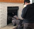 Repair Gas Fireplace Fresh Gas Fireplace Installation Walker Climate Care