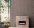 Two Sided Electric Fireplace Beautiful Ilektro Fires