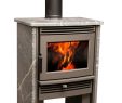 Vonderhaar Fireplace Fresh Pacific Energy Neostone 2 5 Free Standing Wood Stove