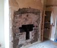 Arch Fireplace Door Beautiful Exposing Brick Fireplace with Images