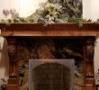 Arch Fireplace Door Lovely Fireplace Glass Doors Project