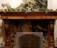 Arch Fireplace Door Lovely Fireplace Glass Doors Project