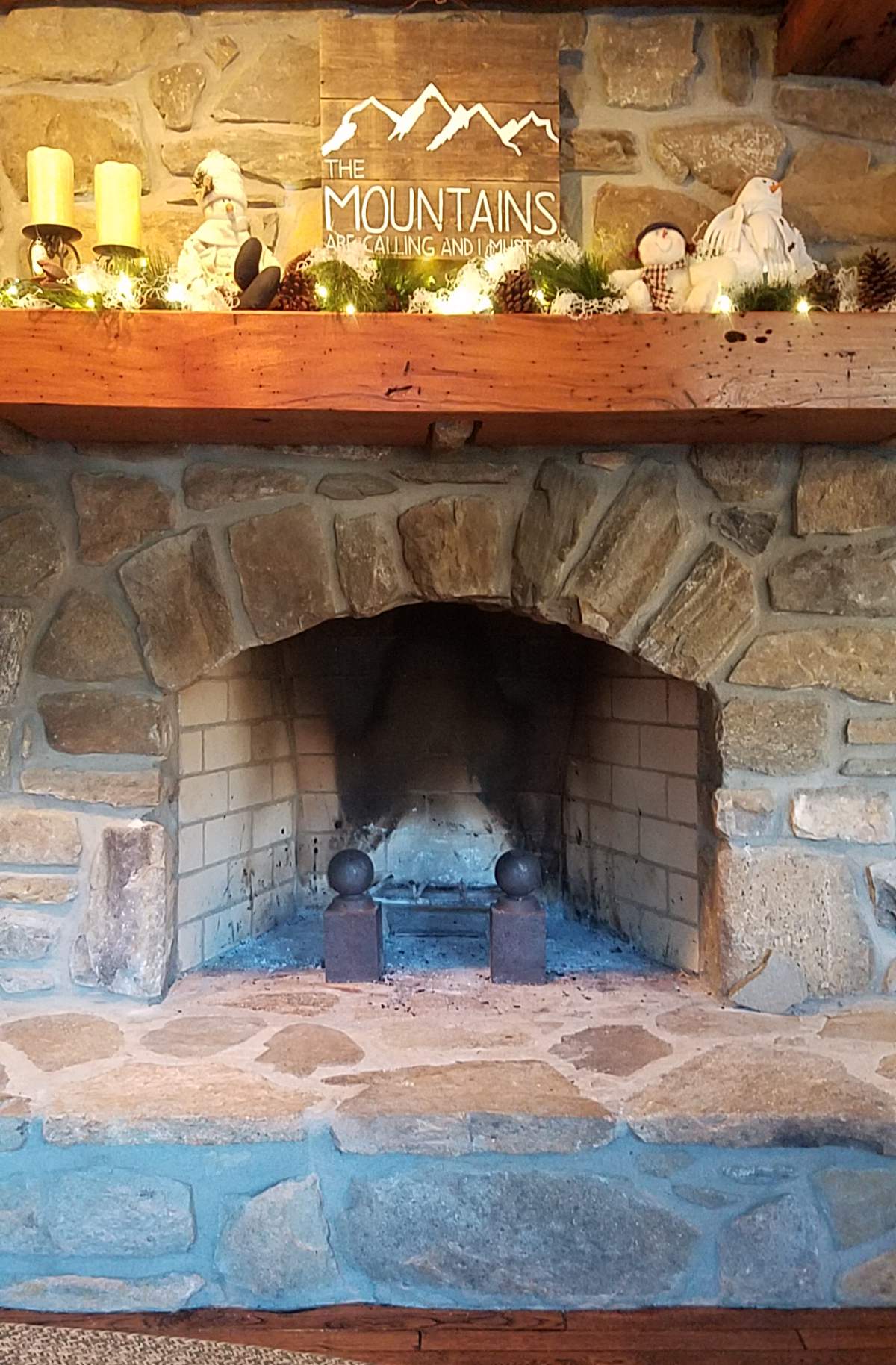 Fireplace Glass Doors Project before
