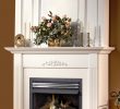 Boulevard Fireplace Lovely Napoleon Gvf36 Vent Free Gas Fireplace