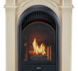 Dual Fuel Fireplace Awesome Amazon Pro Heating Fs100t 1 Aw Fireplace White