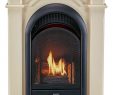 Dual Fuel Fireplace Awesome Amazon Pro Heating Fs100t 1 Aw Fireplace White