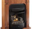 Dual Fuel Fireplace Best Of Kozyworld Windsor Four In E Dual Fuel Vent Free Gas