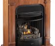 Dual Fuel Fireplace Best Of Kozyworld Windsor Four In E Dual Fuel Vent Free Gas