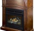 Dual Fuel Fireplace Luxury Amazon Pleasant Hearth Convertible Vent Free Dual Fuel