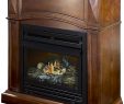 Dual Fuel Fireplace Luxury Amazon Pleasant Hearth Convertible Vent Free Dual Fuel