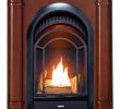 Dual Fuel Fireplace Luxury Amazon Pro Walnut Ventless Fireplace System 10k Btu