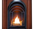 Dual Fuel Fireplace Luxury Amazon Pro Walnut Ventless Fireplace System 10k Btu