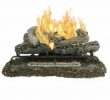 Dual Fuel Fireplace Luxury Pleasant Hearth 18 In Btu Dual Burner Vent Free Gas Fireplace Logs