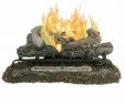 Dual Fuel Fireplace Luxury Pleasant Hearth 18 In Btu Dual Burner Vent Free Gas Fireplace Logs