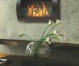 Ethanol Wall Mounted Fireplace Best Of Anywhere Fireplace Chelsea Wall Mounted Ethanol Fireplace