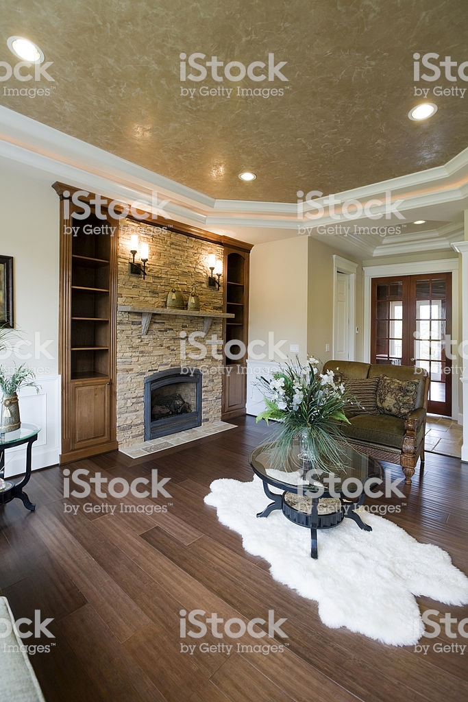 Fireplace Floor Luxury Luxury Elegant Modern Living Room Wood Floor Stone Fireplace