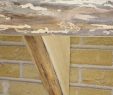 Fireplace Mantel Corbels Fresh Fireplace Mantel Natural Corbel In butternut