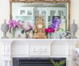 Fireplace Mirror New Antique Fireplace Mantel with Mirror How to Decorate A