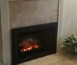 Fireplace Reflectors Elegant the 1 Dimplex Fireplace Dealer Low Price Free Ship