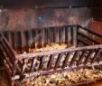 Fireplace Tray Awesome Fireplace A Cast Iron Grate and Coal Tray In A Brick Lined