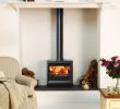 Fireplace Tray Best Of View 8hb High Output Boiler Stove Stovax Contemporary