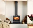 Fireplace Tray Best Of View 8hb High Output Boiler Stove Stovax Contemporary