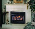 Gas Fireplace Kits Beautiful Vantage Hearth Vent Free Gas Fireplace Insert Vi33