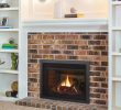 Gas Fireplace Kits Inspirational Regency Lri3e Gas Fireplace Insert with Images