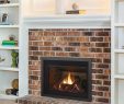 Gas Fireplace Kits Inspirational Regency Lri3e Gas Fireplace Insert with Images