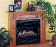 Gas Fireplace Kits Lovely fort Flame Vent Free Gas Fireplace Single Pact