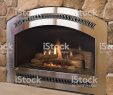 Gas Fireplace Rock Luxury Stainless Steel Gas Fireplace with Rock Surround Stock