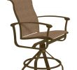 Georgetown Fireplace and Patios Awesome Ovation Sling Barstool