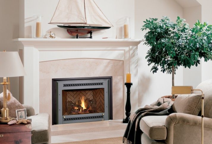 Georgetown Fireplace and Patios Fresh Fireplace Inserts