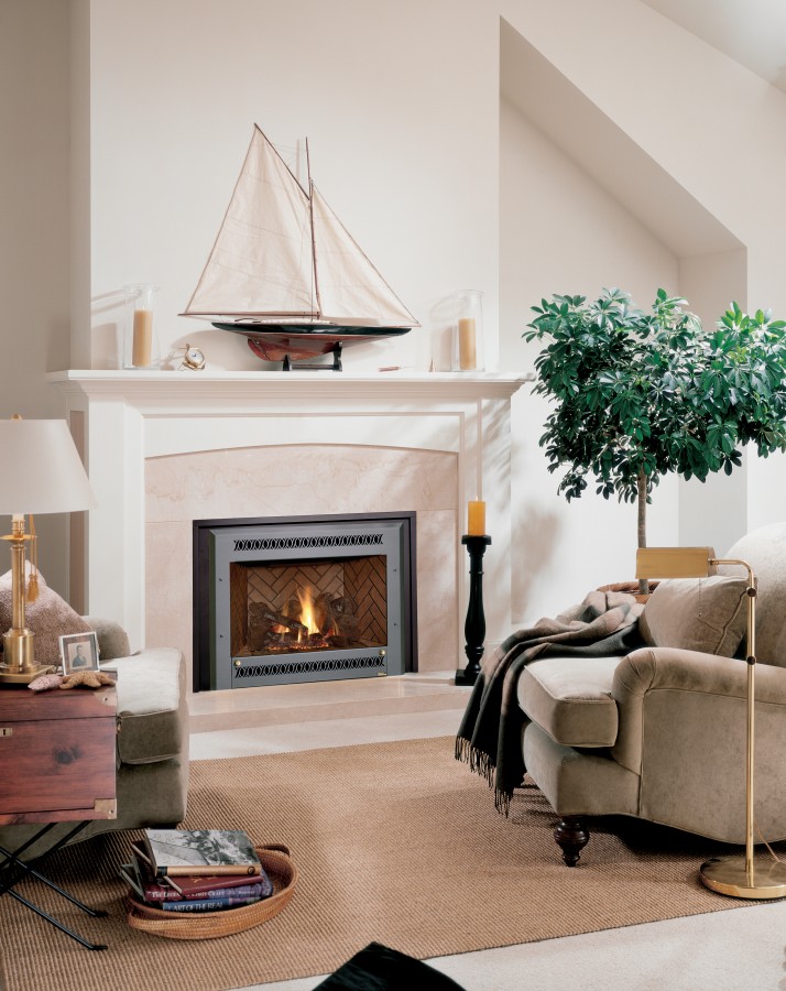 Georgetown Fireplace and Patios Fresh Fireplace Inserts