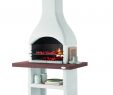 Hamilton Fireplace Fresh Palazzetti Oslo Outdoor Fireplace