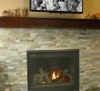 In Wall Gas Fireplace Best Of astria Scorpio Direct Vent Gas Fireplace