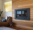 In Wall Gas Fireplace Elegant In Built Gas Fireplace In Luxury Home by Rowena Naylor