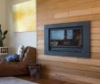 In Wall Gas Fireplace Elegant In Built Gas Fireplace In Luxury Home by Rowena Naylor