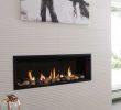 In Wall Gas Fireplace Elegant L1 Gas Fireplace
