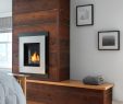 In Wall Gas Fireplace Fresh A Gas Fireplace and Built In Bo Fine Homebuilding