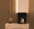 In Wall Gas Fireplace New Gas Fireplace True Vision 550 Dc M Design Contemporary