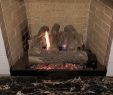 Norwood Fireplace Awesome Firefixer 10 S & 49 Reviews Fireplace Services